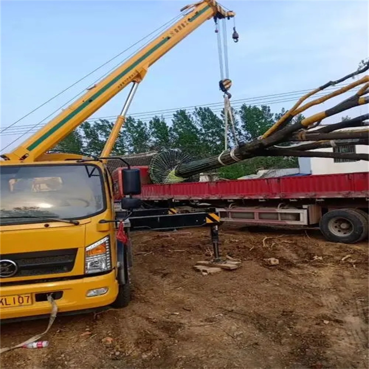 黄梅100吨吊车租赁费用怎么算？3大关键因素+省钱技巧全解析